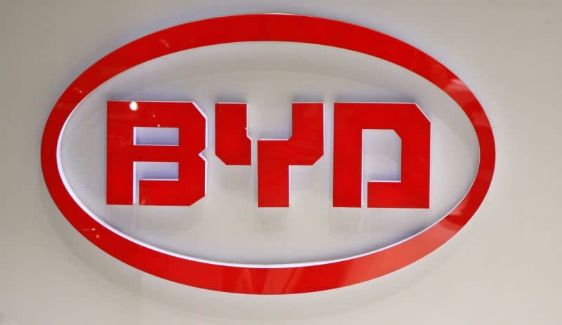 BYD_3.jpg